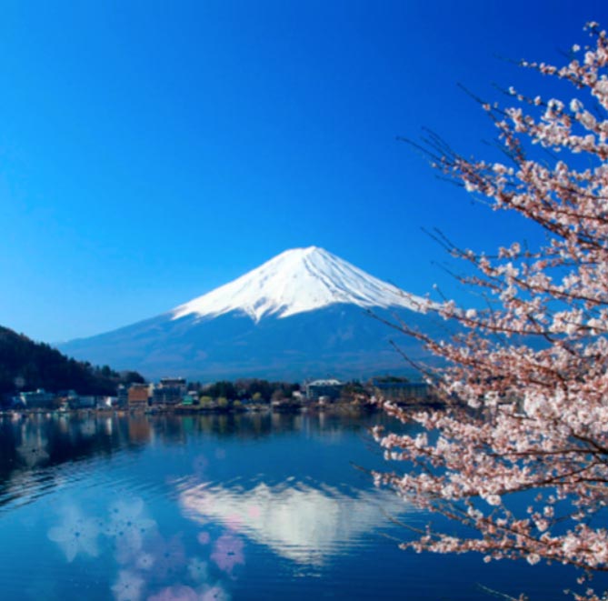 Japan in the Heart